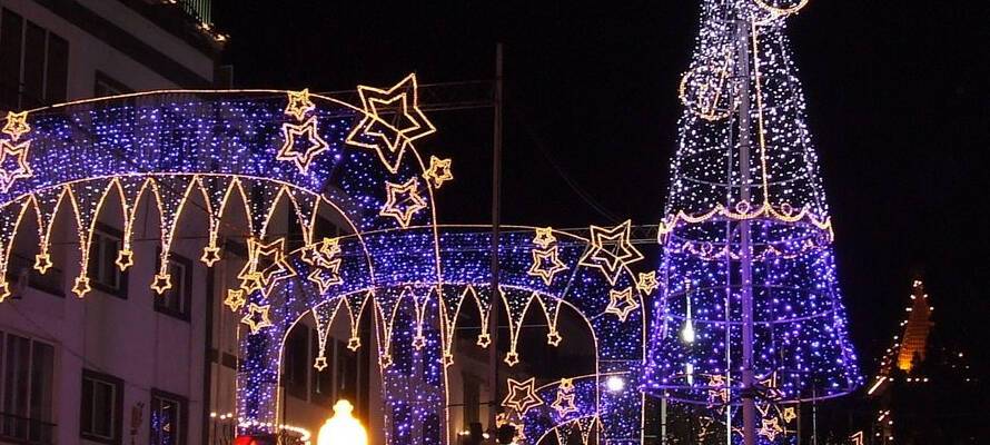 Власти Петрозаводска предлагают горожанам зажечь новогодние огни