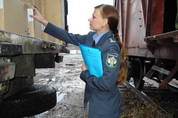 В Тверской области досмотрено более 20 000 партий грузов