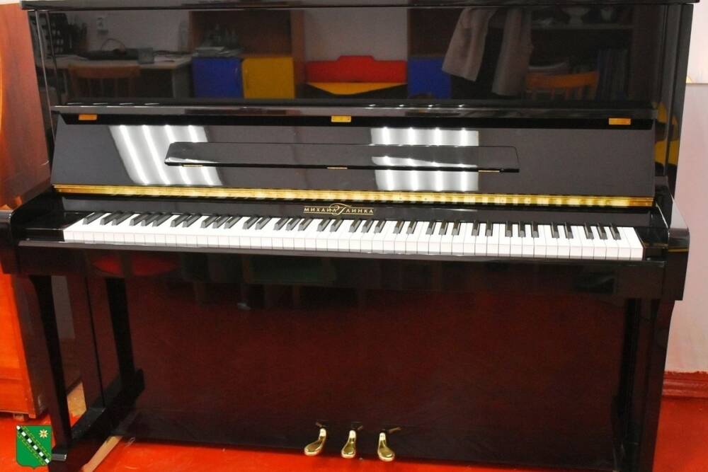 Детской школе искусств в Малой Вишере подарили пианино за 600 тысяч рублей