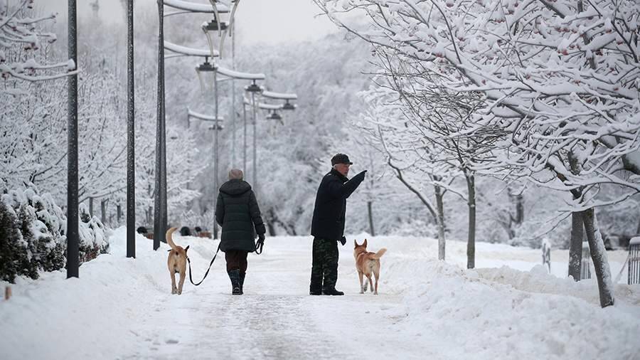 Синоптики рассказали о погоде в Москве 15 декабря