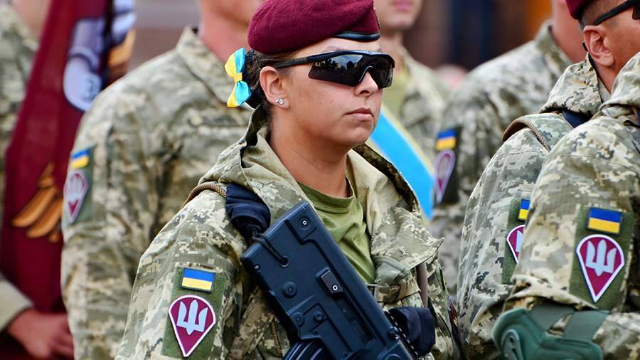 Украина пригрозила разгромить армию Венгрии одной штурмовой бригадой