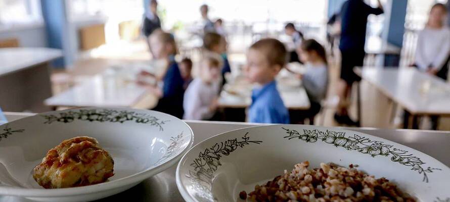 Детей в школах Петрозаводска разделили по стоимости питания