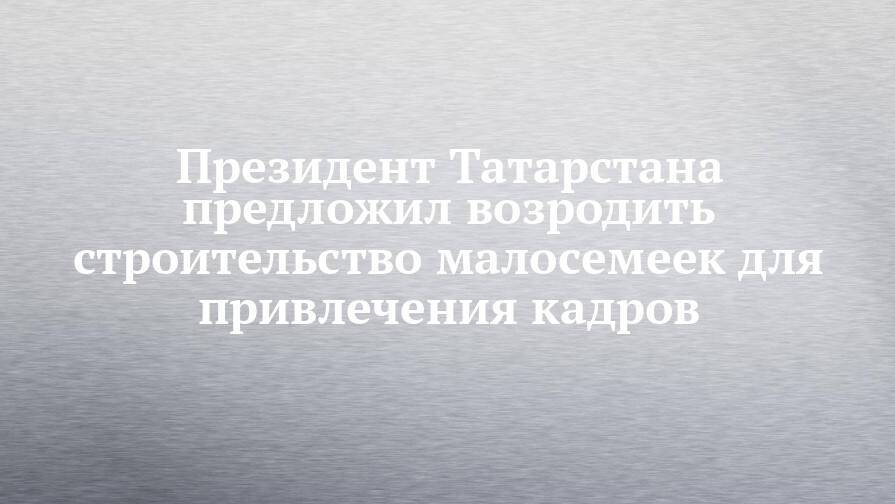 Президент Татарстана предложил возродить строительство малосемеек для привлечения кадров