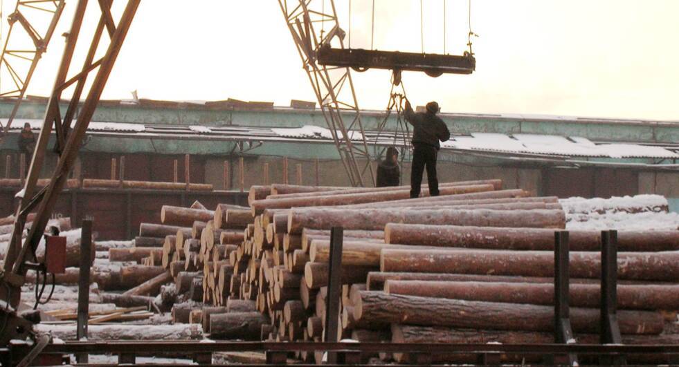 В Иркутске перекрыли крупный канал контрабанды леса в Китай