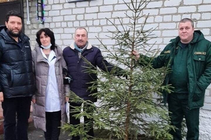 Врачам больниц Брянщины раздадут новогодние елки