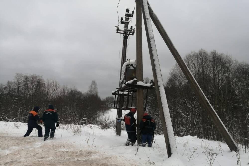 Под тяжестью мокрого снега в Новгородской области рвутся провода и падают деревья