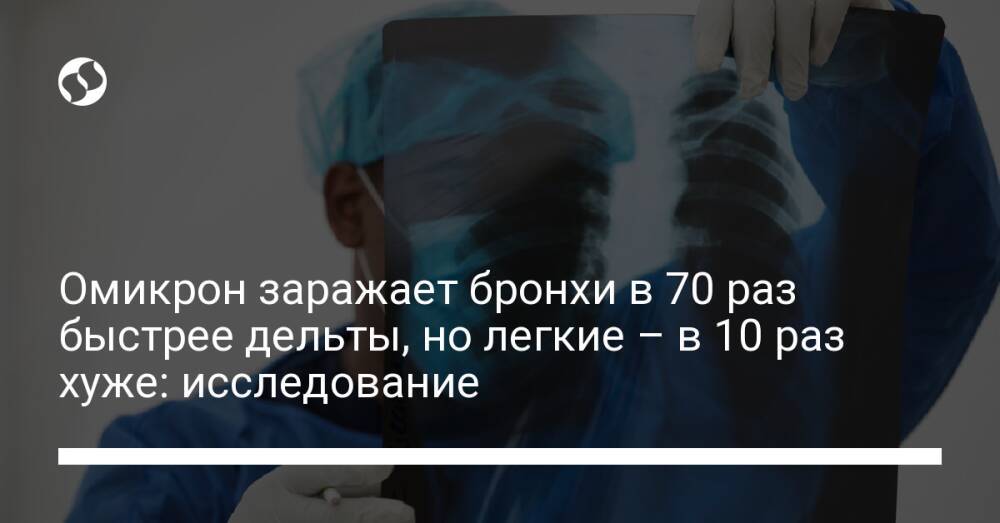 Омикрон заражает бронхи в 70 раз быстрее дельты, но легкие – в 10 раз хуже: исследование