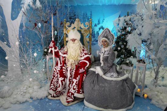 Онлайн-резиденция Деда Мороза в Иркутске начнет работать с 20 декабря