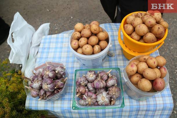 Минсельхоз Коми не прогнозирует дефицит картофеля в регионе в 2022 году