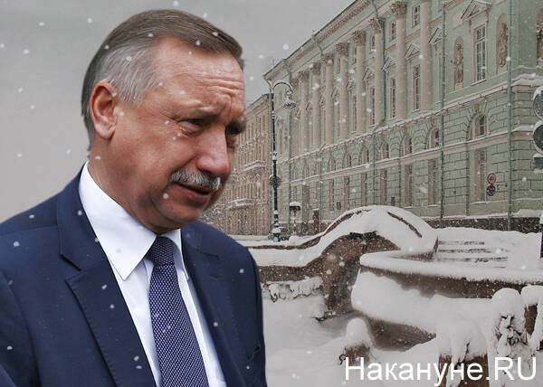 Народная артистка Луппиан поддержала обращение Краско к Путину из-за некачественной уборки снега в Петербурге