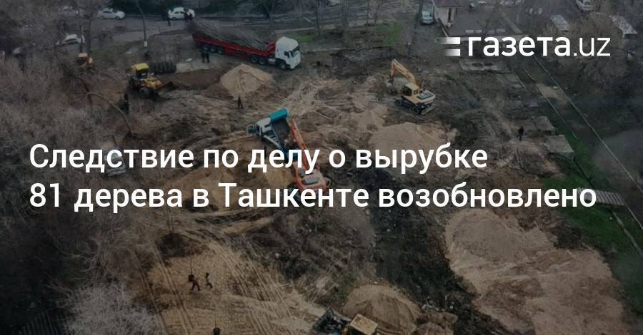 Следствие по делу о вырубке 81 дерева в Ташкенте возобновлено