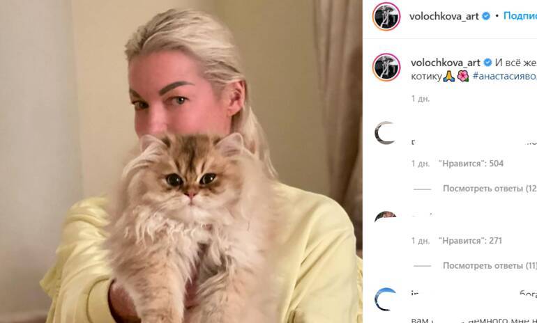 Волочкова купила кота за полмиллиона рублей
