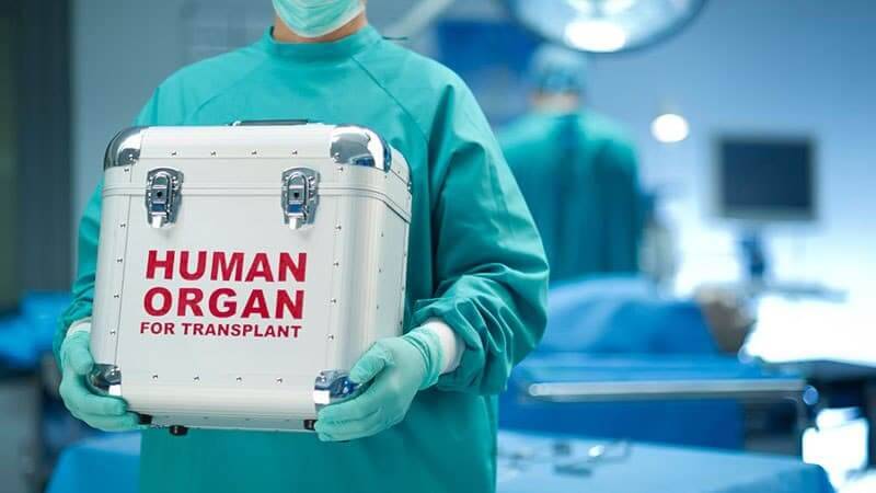 Парламент принял закон, который урегулирует трансплантацию органов в Украине