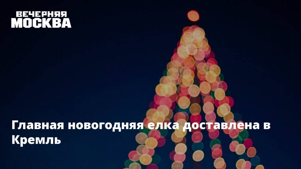 Главная новогодняя елка доставлена в Кремль