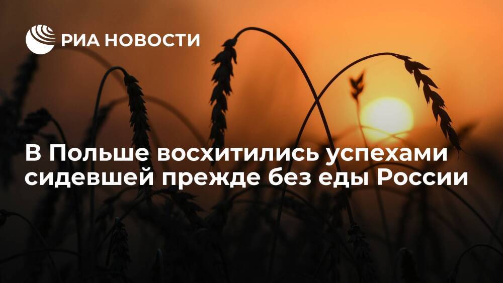Myśl Polska: Россия возвращается в качестве сильного игрока на глобальном аграрном рынке