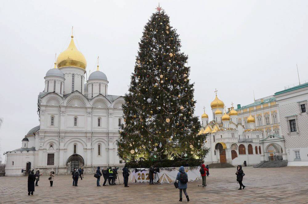 Главную новогоднюю елку страны привезли в Москву