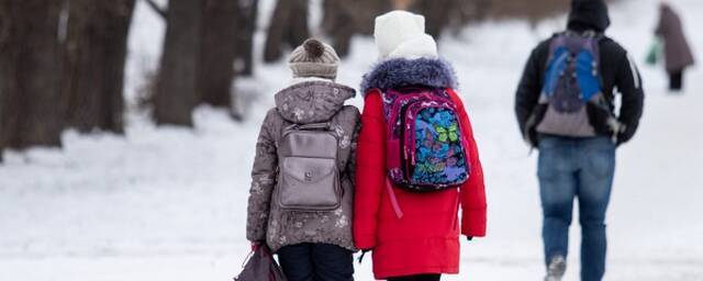Зимние школьные каникулы в Чувашии планируют продлить
