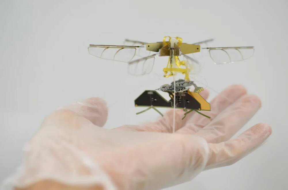 В Toyota объявили о создании миниатюрного насекомоподобного дрона