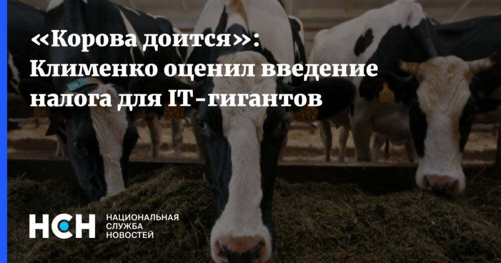 «Корова доится»: Клименко оценил введение налога для IT-гигантов