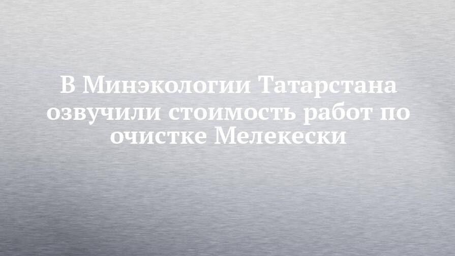 В Минэкологии Татарстана озвучили стоимость работ по очистке Мелекески