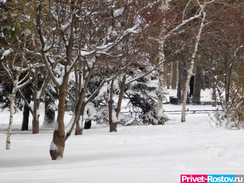 Стало известно о прогнозе погоды в новогоднюю ночь 1 января в Ростовской области