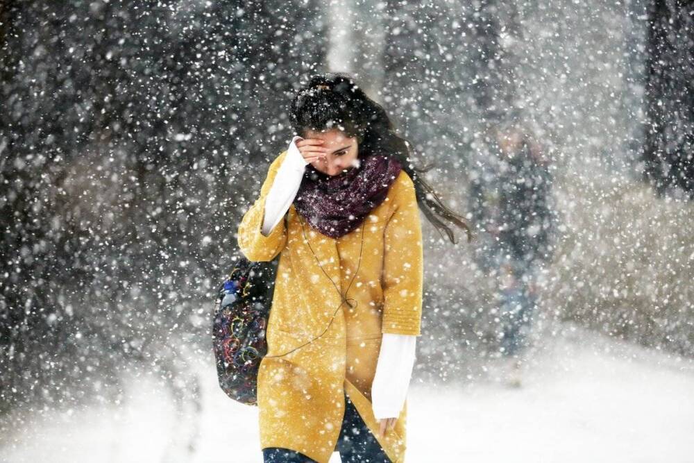 МЧС опубликовало экстренное предупреждение о сильном снегопаде в Ленобласти