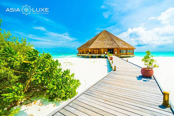 Без визы и ограничений: Asialuxe Travel предлагает выгодные турпакеты на Мальдивы