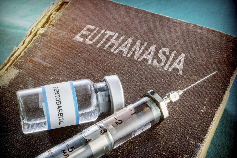 В Австрии официально разрешили эвтаназию