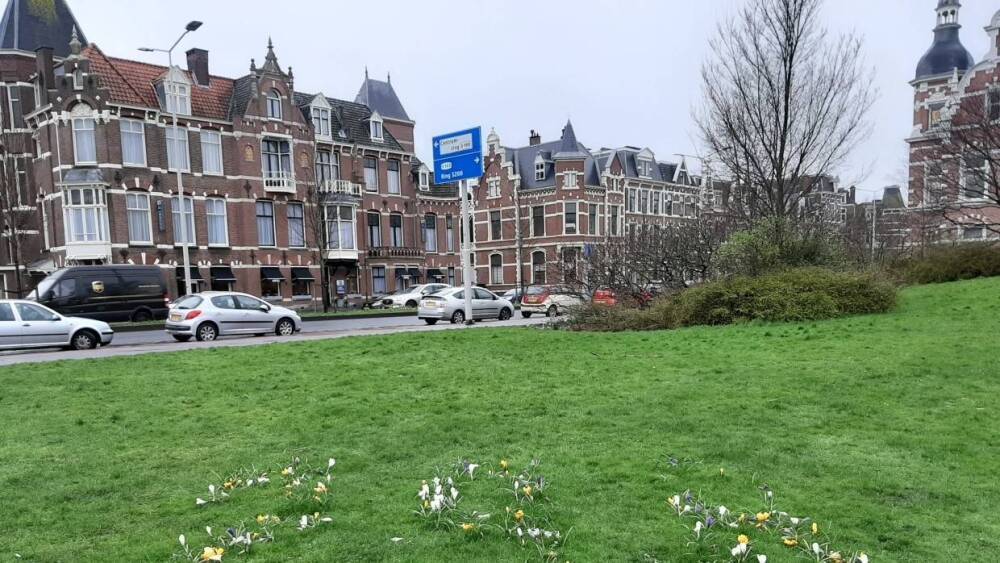 Нидерланды ввели локдаун в связи с распространением омикрон-штамма коронавируса