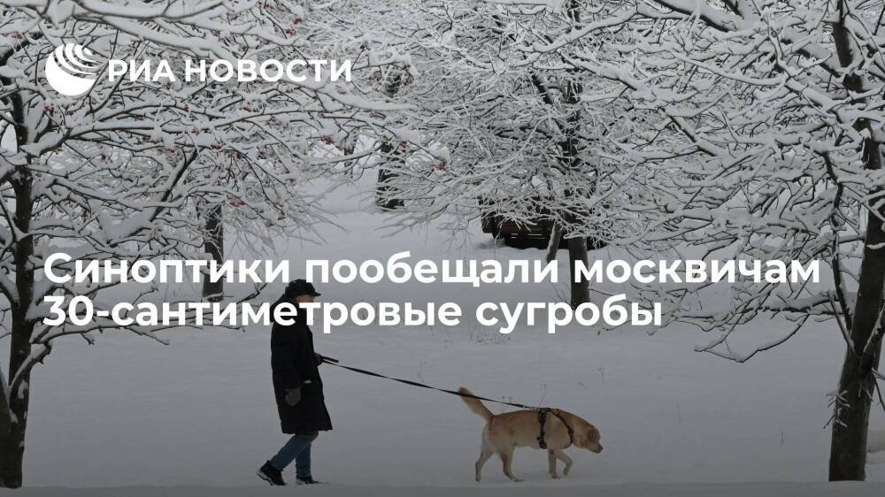 Синоптик Тишковец: к следующим выходным высота сугробов в Москве достигнет 30 сантиметров