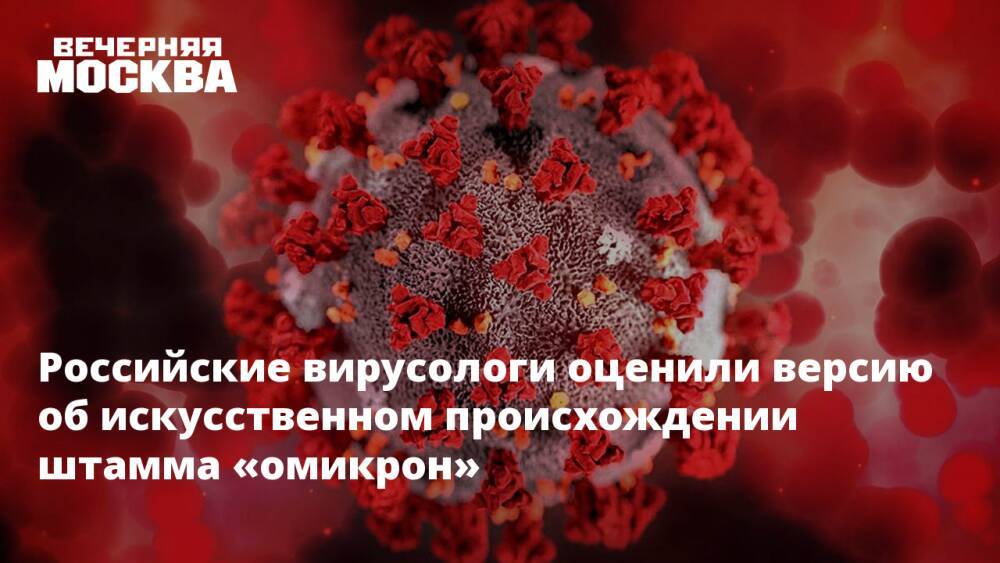Российские вирусологи оценили версию об искусственном происхождении штамма «омикрон»