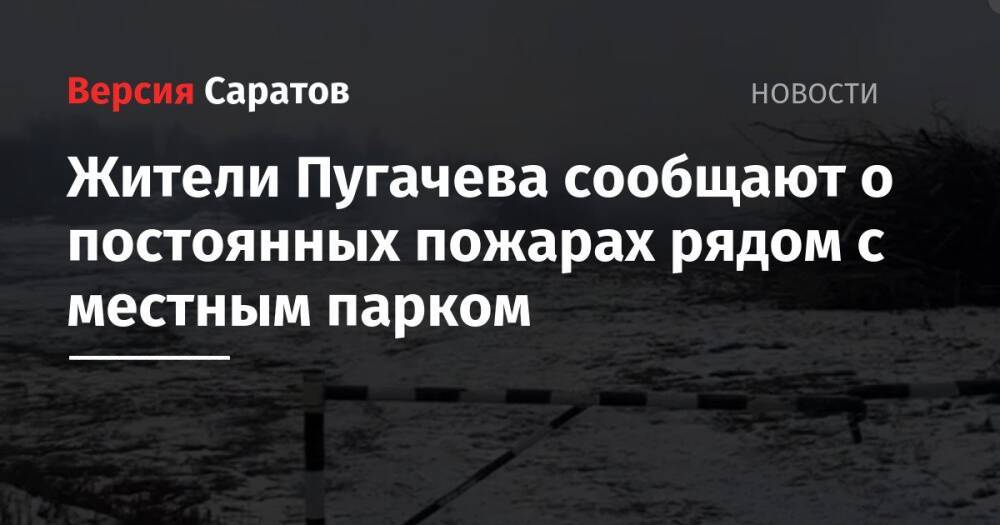 Жители Пугачева сообщают о постоянных пожарах рядом с местным парком