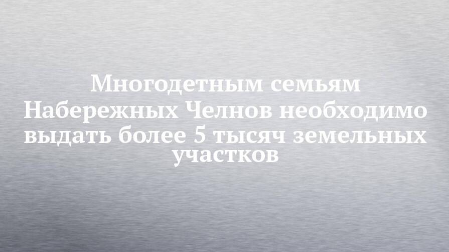 Многодетным семьям Набережных Челнов необходимо выдать более 5 тысяч земельных участков