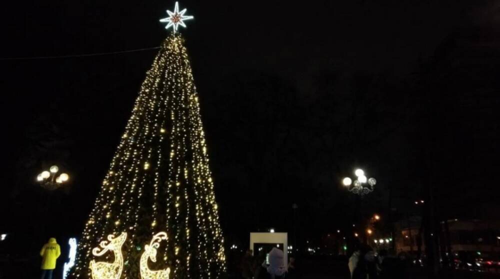 В Киеве возле Рады впервые зажгли новогоднюю елку