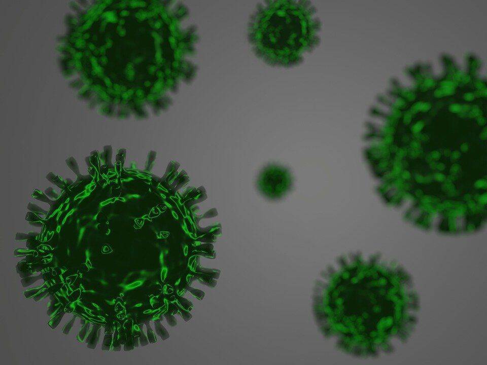 Штамм коронавируса "омикрон" начал распространяться по США