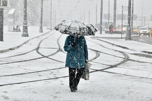 Порядка 2–3 см снега выпало в Москве в среду