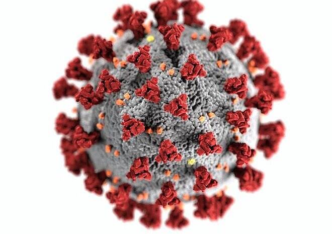 Гинцбург полагает, что штамм коронавируса «омикрон» может вытеснить «дельту»