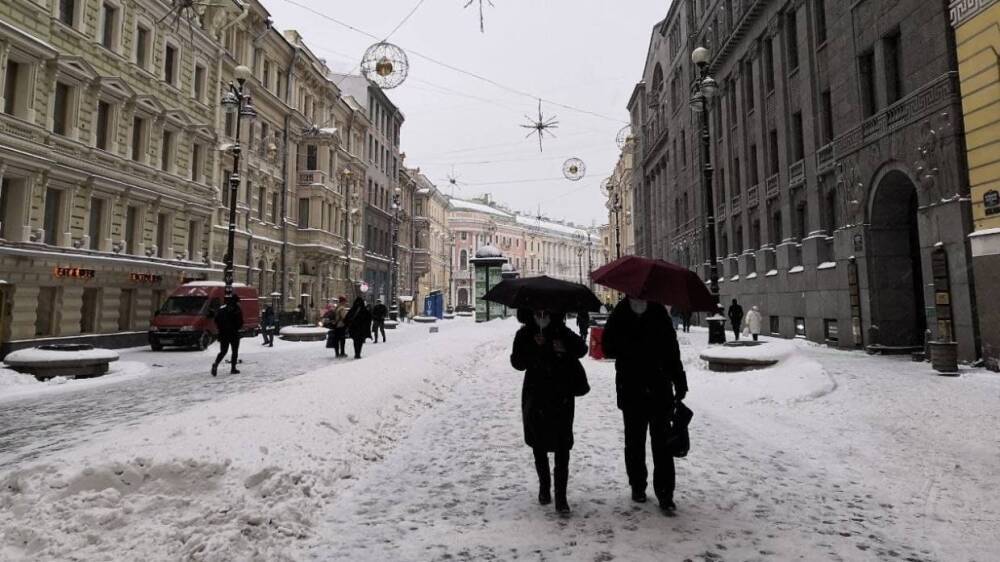 Горожане выразили недовольство попытками властей Петербурга бороться со снегом с помощью реагентов