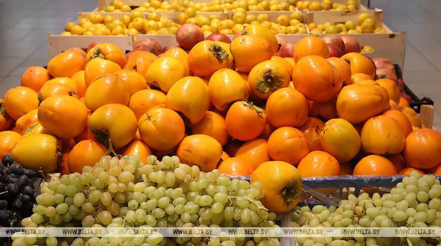 В Витебской области россиянин заработал почти Br1 млн на нелегальной перепродаже овощей и фруктов