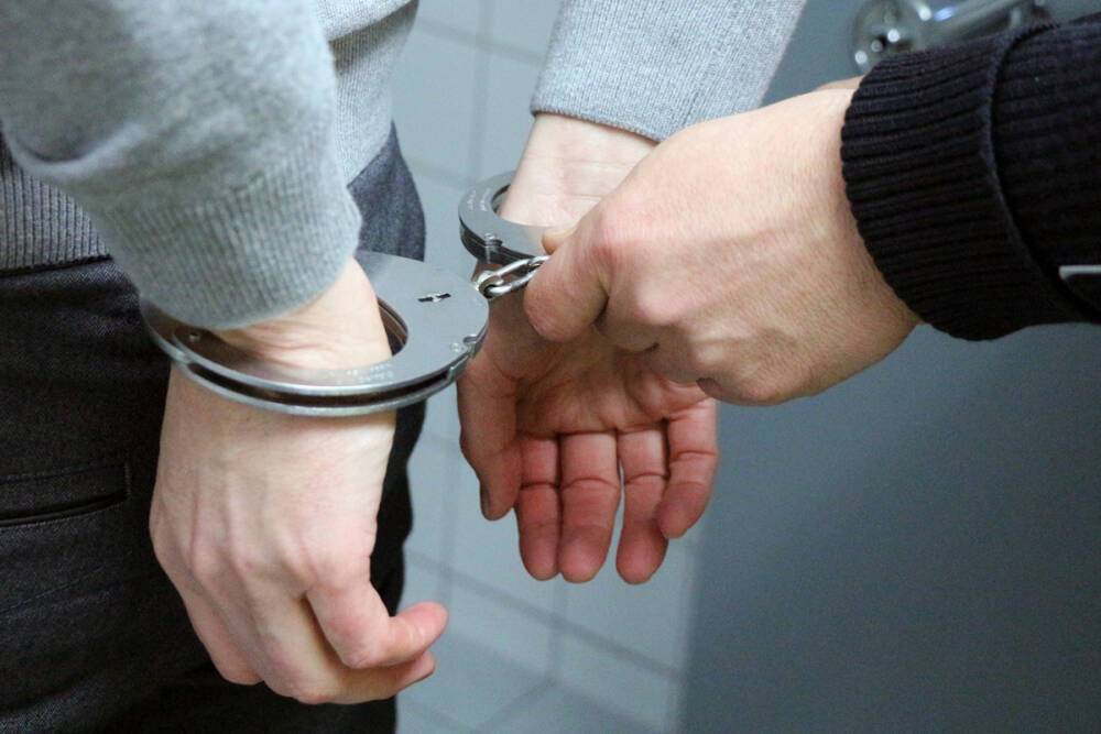 Полиция Петербурга задержала топ-менеджера финансовой пирамиды, в которую вкладывалась Волочкова