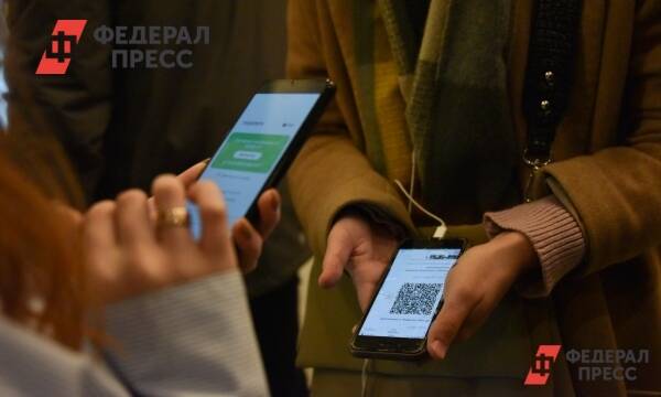 Томские депутаты поддержали федеральный законопроект о QR-кодах