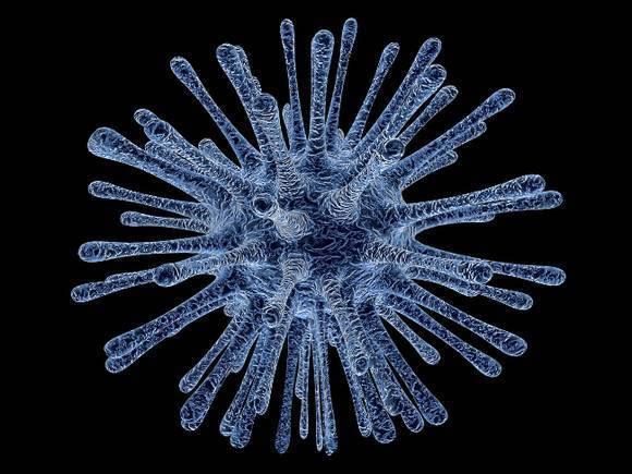 Владелец клиник «Омикрон» подает в суд на ВОЗ из-за названия нового штамма коронавируса
