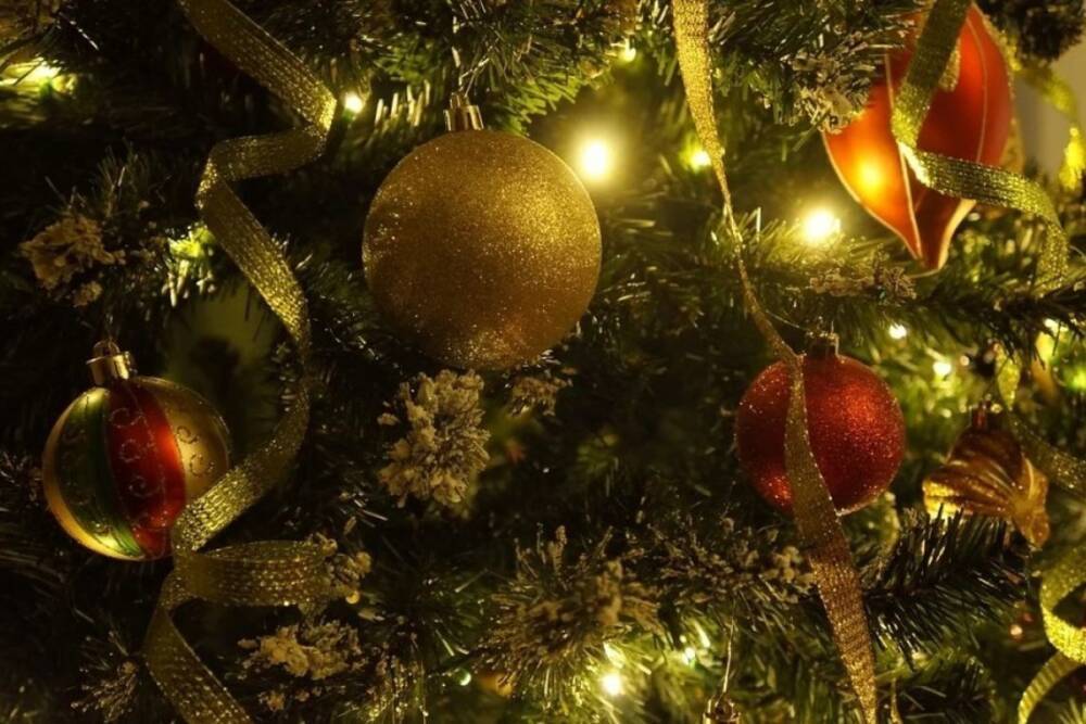 В Пензе полностью установили главную новогоднюю елку