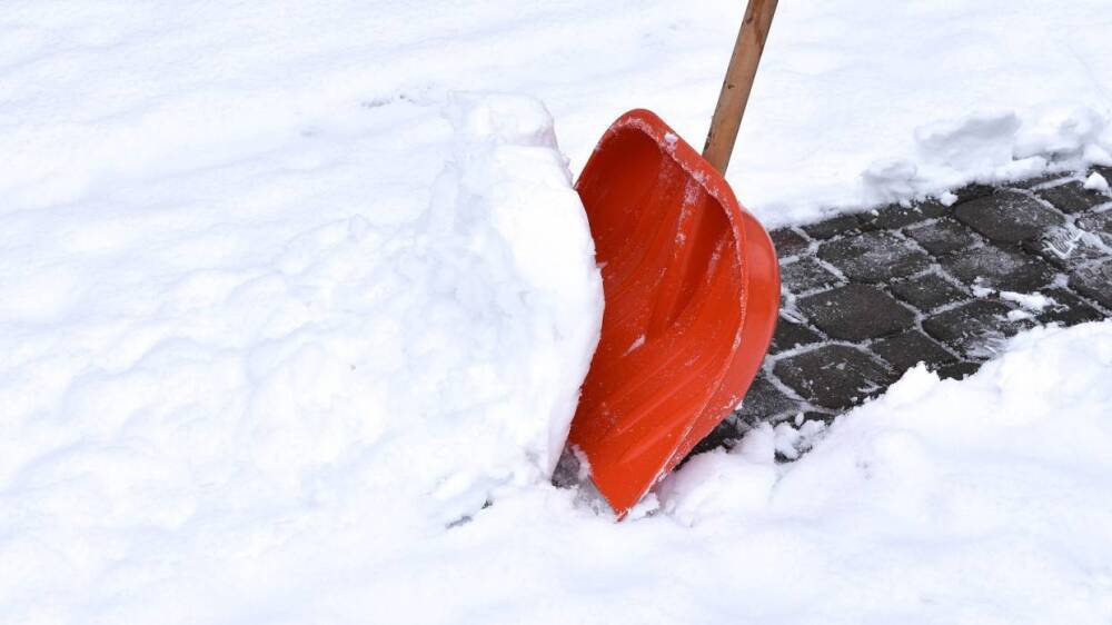 Петербуржцы не дождались уборки снега от коммунальщиков и вышли на улицы с лопатами
