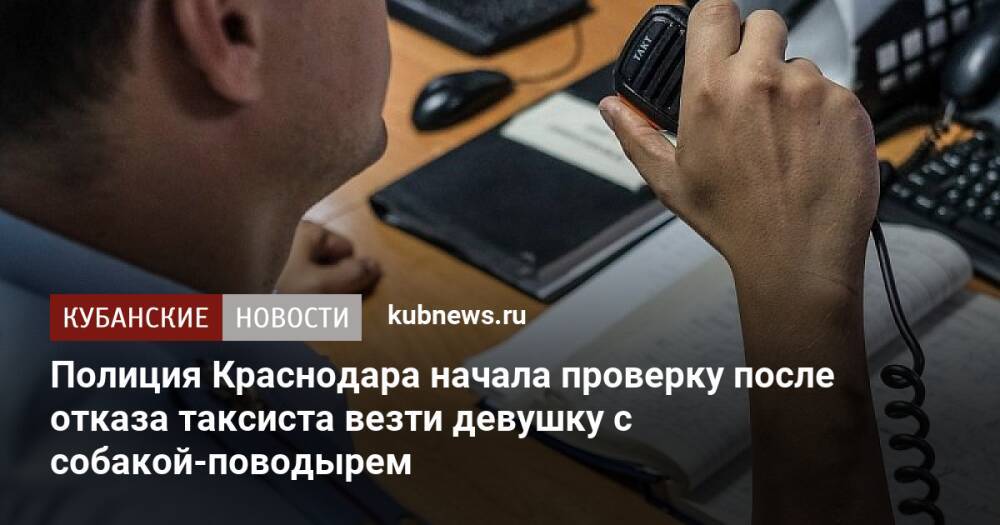 Полиция Краснодара начала проверку после отказа таксиста везти девушку с собакой-поводырем