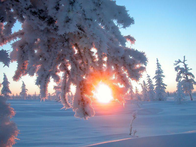 Когда день зимнего солнцестояния в 2021 году: что можно и нельзя делать, ритуалы и обряды