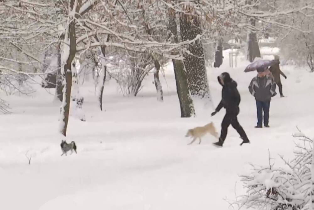 Дожди с мокрым снегом нарушат покой украинцев, погода резко ухудшится: где ждать похолодания