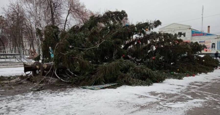 Ураганный ветер свалил две новогодние елки: под Ровно и на Сумщине