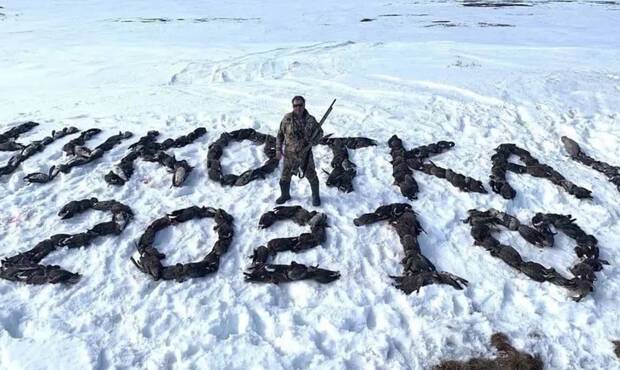 Депутата Магаданской гордумы с фотографии с трупами птиц нашли мертвым в кабинете