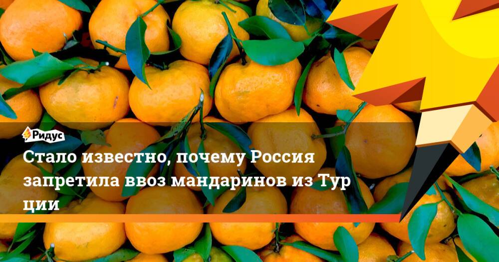Стало известно, почему Россия запретила ввоз мандаринов изТурции